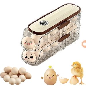01527 2 layer automatic egg storage w&b cover