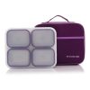 01209 4 portioned lunchbowl in purple/green bag equal