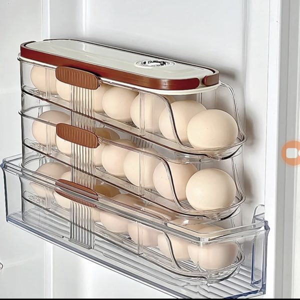 01528 3 layer automatic egg storage w&b cover