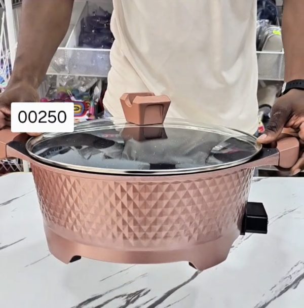 00250 10l multicooker
