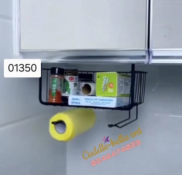 01350 cabinet storage with tissue holder