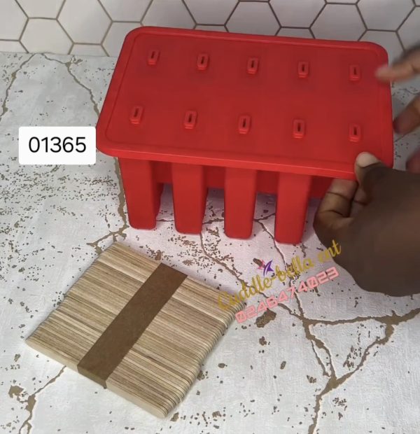 01365 10 cavity popsicle mould plain design with 50 sticks